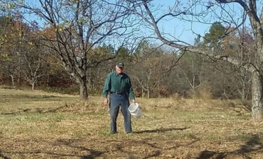 Suttles Image Gallery M.E. Suttles walking through the pecan orchard at Suttles Nut Farm